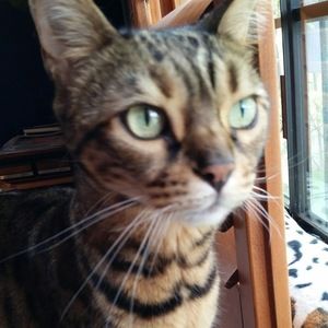 Meet your Posher, Raquel